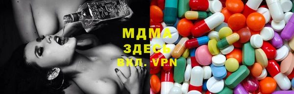 стафф Бородино