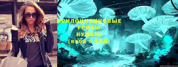 а пвп мука Бугульма